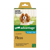 Advantage Spot-on Flea Treatment For Medium Dogs 4 To 10Kg 1pk